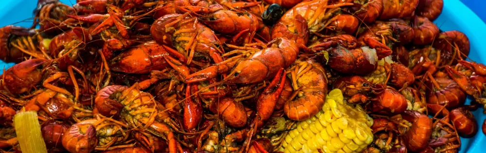 best restaurants in new orleans